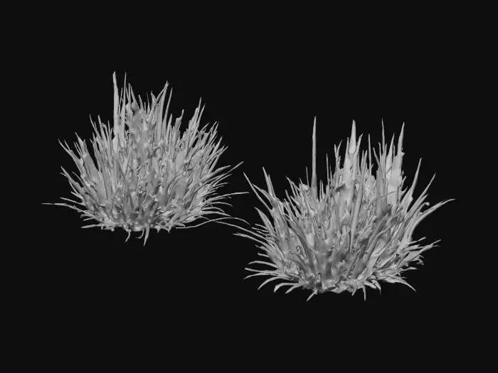 3D model for A pristine white sandy beach stretches, composed of fine, soft grains. Gently rolling dunes, covered in vibrant green, resilient grass, create undulating forms. Scattered throughout are small, robust palm ferns with smooth, waxy fronds, adding hints of darker green. The landscape evokes a serene, soft texture underfoot and a refreshing breeze through the sparse vegetation, presenting a tranquil, natural environment.