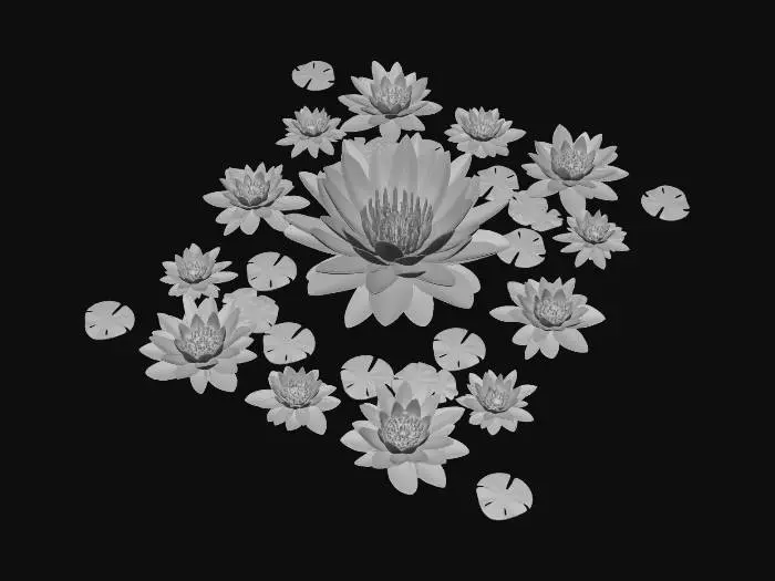 3D model for Moonlit Lilies