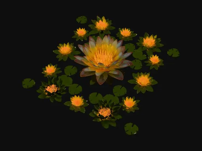 3D model for Moonlit Lilies