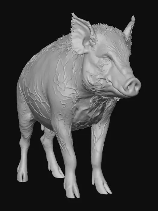 3D model for Zombified Swine