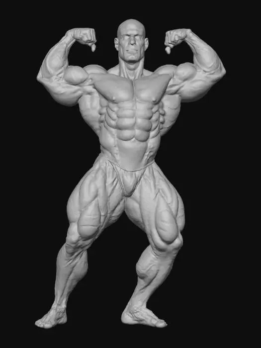 3D model for Bodybuilder Pose
