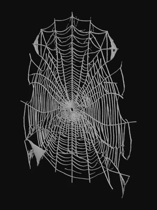 3D model for A delicate, lacey bundle of intricate spider webs, shimmering with a translucent, pearlescent sheen. The interwoven silk threads create a chaotic yet beautiful structure, appearing soft and ethereal. Each strand is fine and slightly sticky, forming a fragile, irregular shape that feels cool and gossamer to the touch, highlighting its delicate, almost ethereal material.