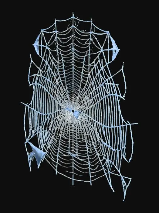 3D model for A delicate, lacey bundle of intricate spider webs, shimmering with a translucent, pearlescent sheen. The interwoven silk threads create a chaotic yet beautiful structure, appearing soft and ethereal. Each strand is fine and slightly sticky, forming a fragile, irregular shape that feels cool and gossamer to the touch, highlighting its delicate, almost ethereal material.