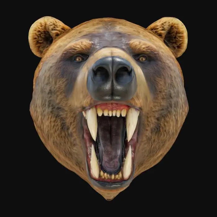 3D model for The Head of a Bear with large exposed teeth, highly detailed Fur, HDR