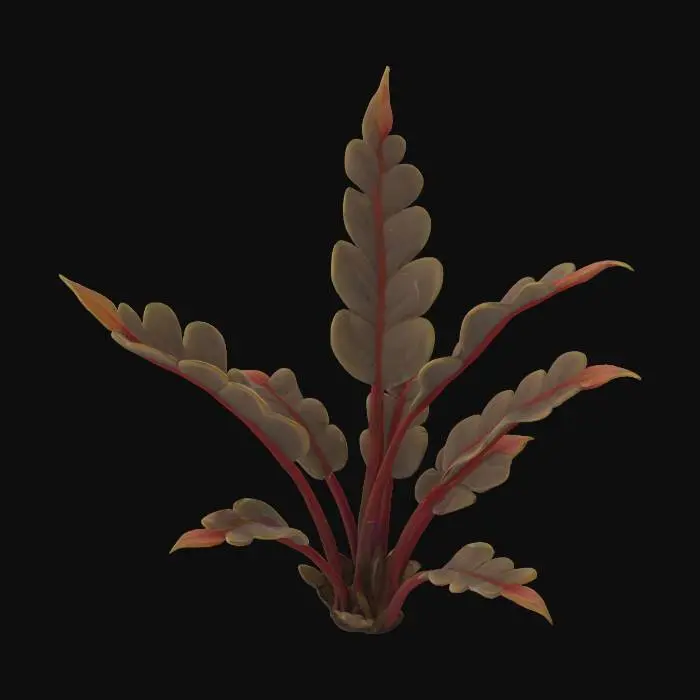3D model for Snow Fern