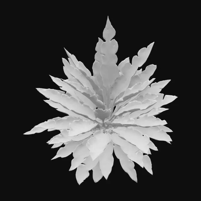 3D model for Crimson Moon Fern