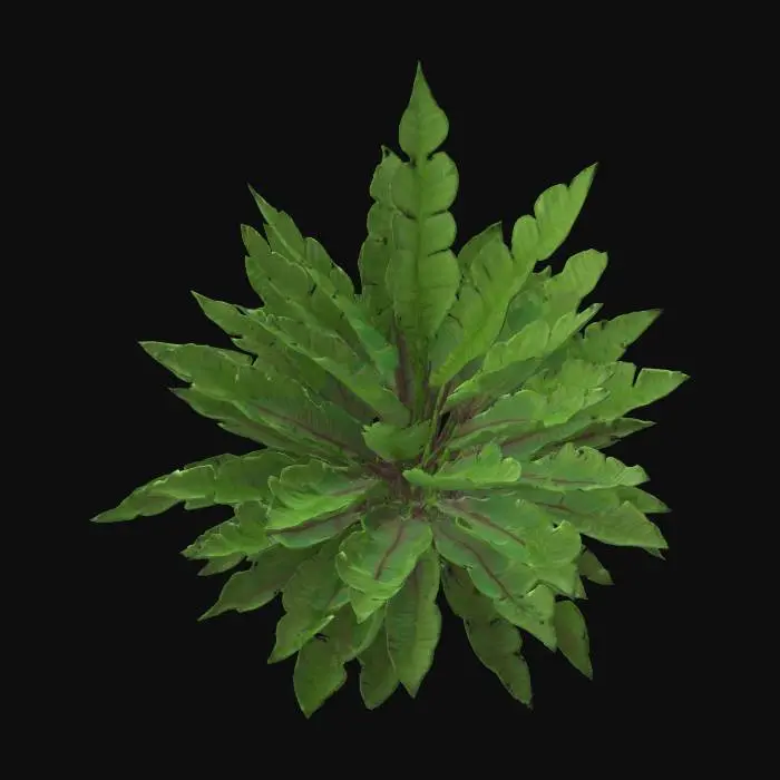 3D model for Crimson Moon Fern