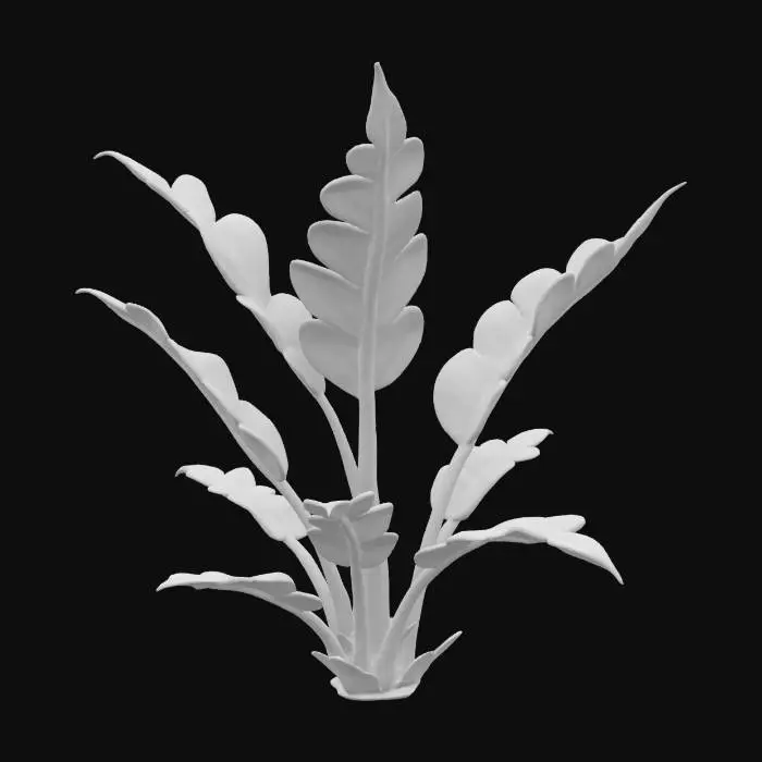3D model for Snow Fern