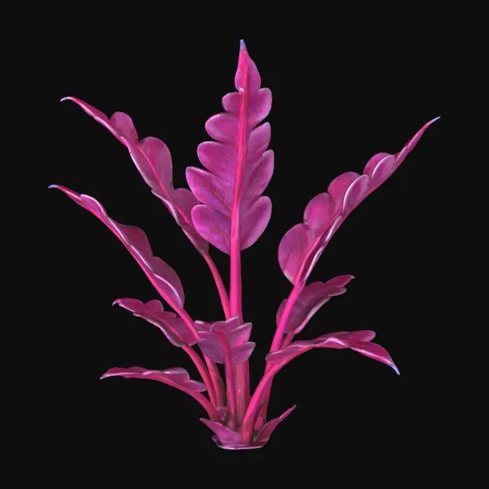 3D model for Snow Fern