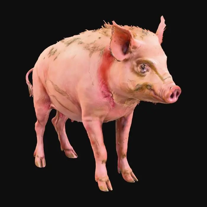 3D model for Zombified Swine