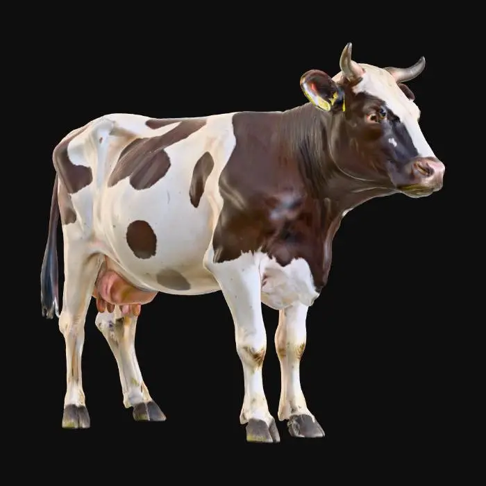 3D model for Zombified Bovine