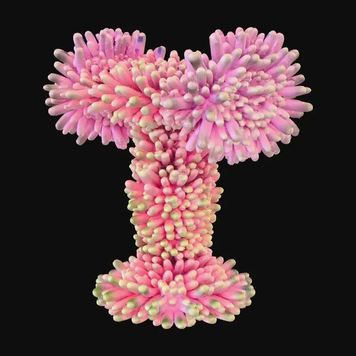 3D model for An elaborate coral formation, incredibly intricate with delicate, branching structures, displays a stony yet organic texture. Its underside shimmers with a slick, iridescent play of deep blues, greens, and purples. The top surface radiates with vibrant pastel orange and delicate pink coloration, appearing rough and porous. The overall structure is complex, combining a hard, calcified feel with gracefully undulating, sensitive forms.