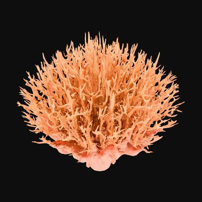 3D model for An elaborate coral fan formation, incredibly intricate with delicate, branching structures, displays a stony yet organic texture. Its underside shimmers with a slick, iridescent play of deep blues, greens, and purples. The top surface radiates with vibrant pastel orange and delicate pink coloration, appearing rough and porous. The overall structure is complex, combining a hard, calcified feel with gracefully undulating, sensitive forms.