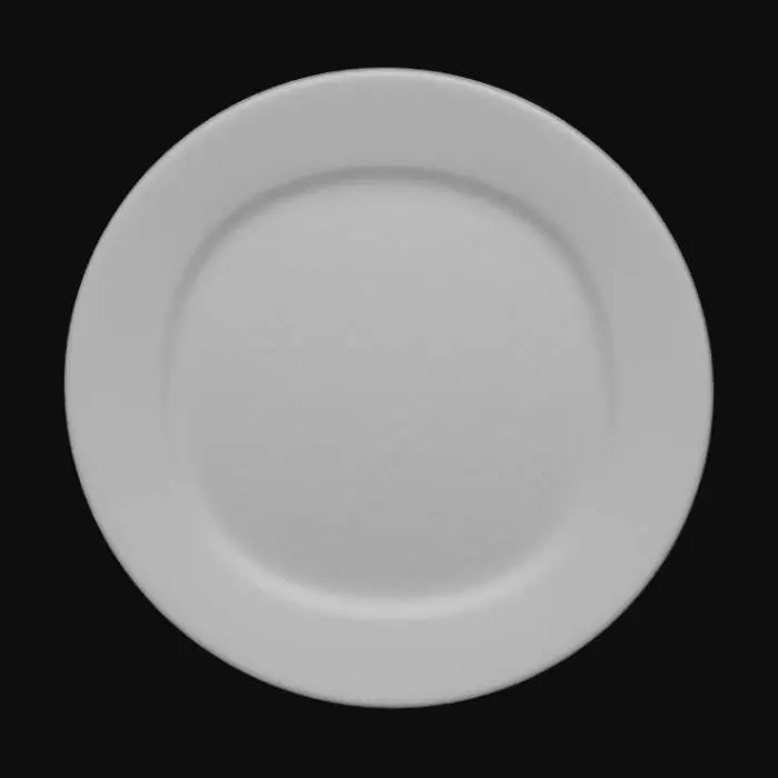 3D model for A pristine, round porcelain plate with a flawless, high-gloss finish that subtly reflects light. Its surface is perfectly smooth and non-porous, showcasing a pure, bright white color with a delicate, cool tactile quality. The structure features a shallow, elegant curve with a slightly raised, thin rim, giving it a classic and refined appearance. This hard ceramic piece feels cool and smooth to the touch.