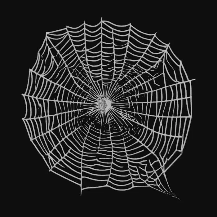 3D model for A delicate, lacey bundle of intricate spider webs, shimmering with a translucent, pearlescent sheen. The interwoven silk threads create a chaotic yet beautiful structure, appearing soft and ethereal. Each strand is fine and slightly sticky, forming a fragile, irregular shape that feels cool and gossamer to the touch, highlighting its delicate, almost ethereal material.