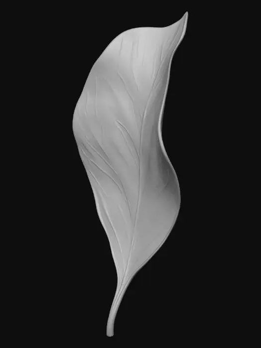 3D model for Autumn Leaf