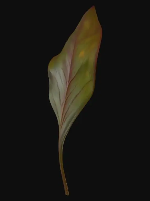 3D model for Midnight Leaf