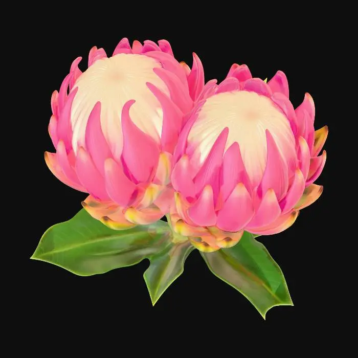 3D model for Protea cynaroides