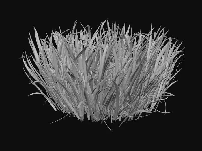3D model for Ich möchte einen grasbüschel den ich in unreal engine als procedual foliage verwenden kann