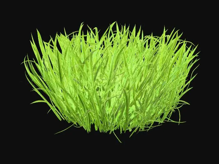 3D model for Ich möchte einen grasbüschel den ich in unreal engine als procedual foliage verwenden kann