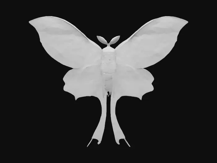 3D model for Actias Aurelius