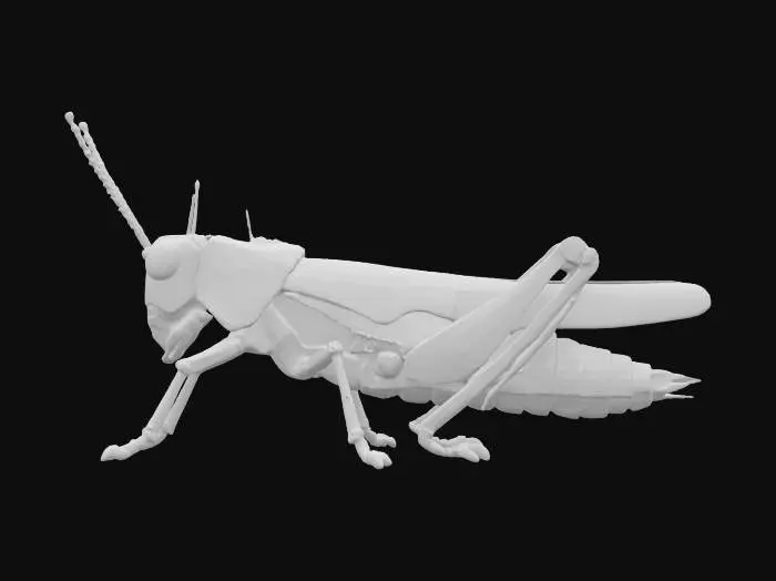 3D model for Geared Grasshopper