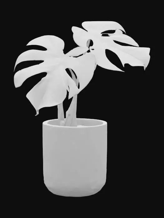 3D model for Variegated Monstera in Gold