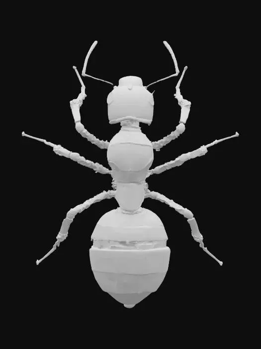 3D model for Mechanical Ant