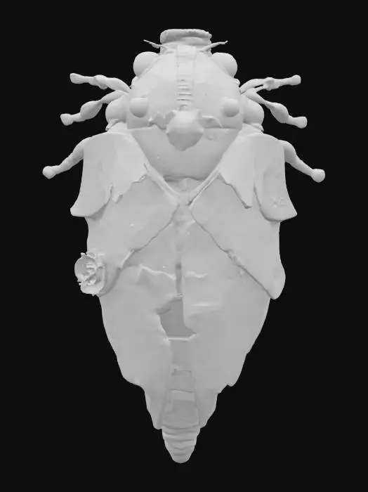 3D model for Cicada di Carrara