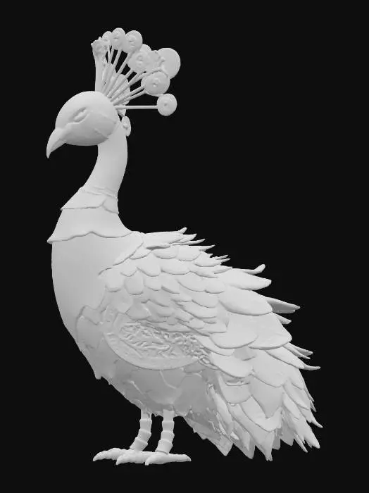 3D model for Peacock