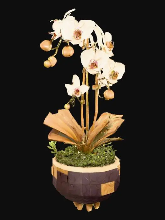 3D model for Papier Orchids