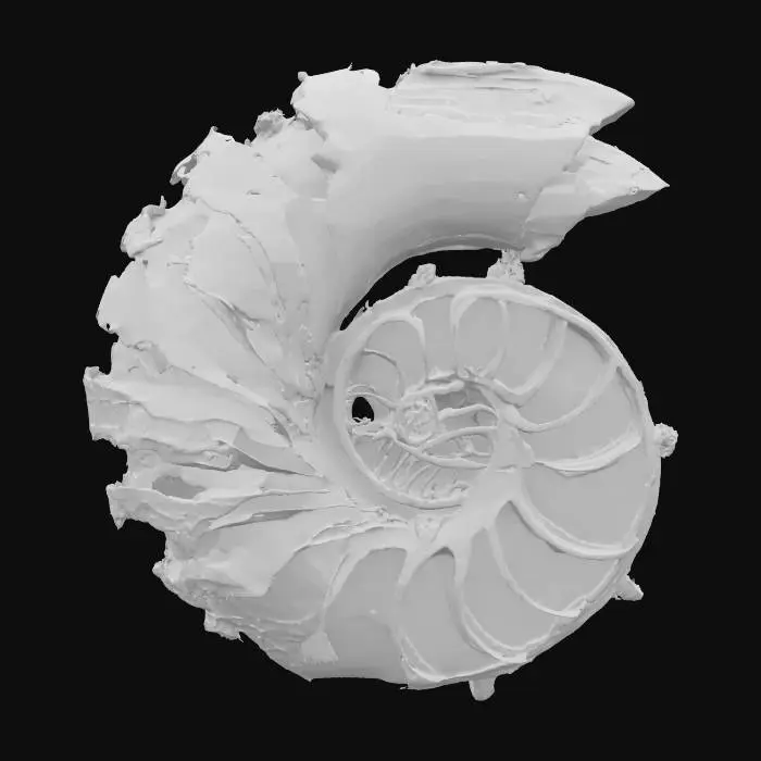3D model for Nautilus, #ocean#