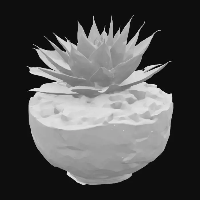 3D model for Succulent