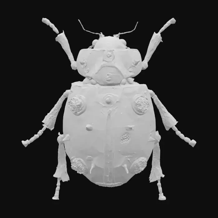 3D model for Ladybug
