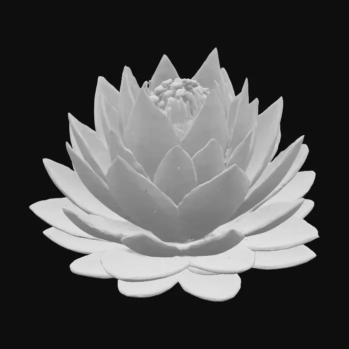 3D model for White Lotus