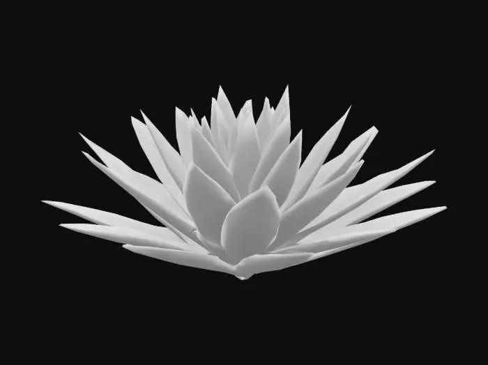 3D model for agave_plant_0510114408