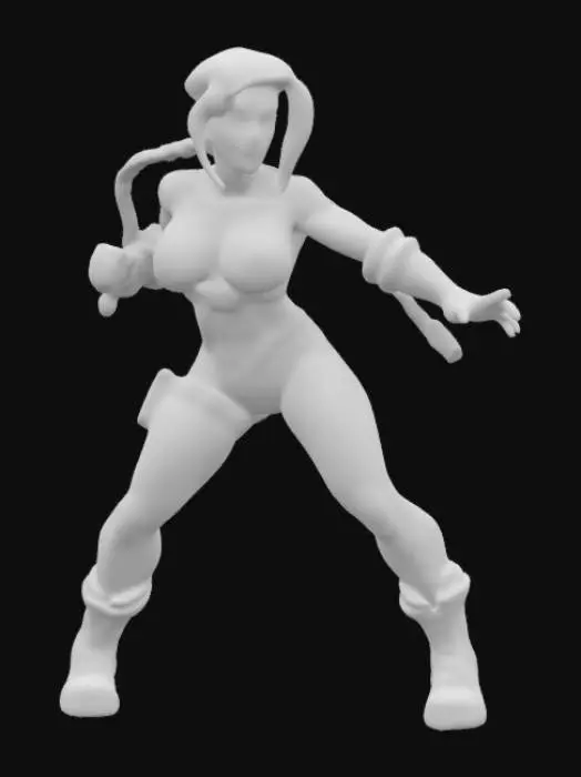 3D model for Fighter in Motion