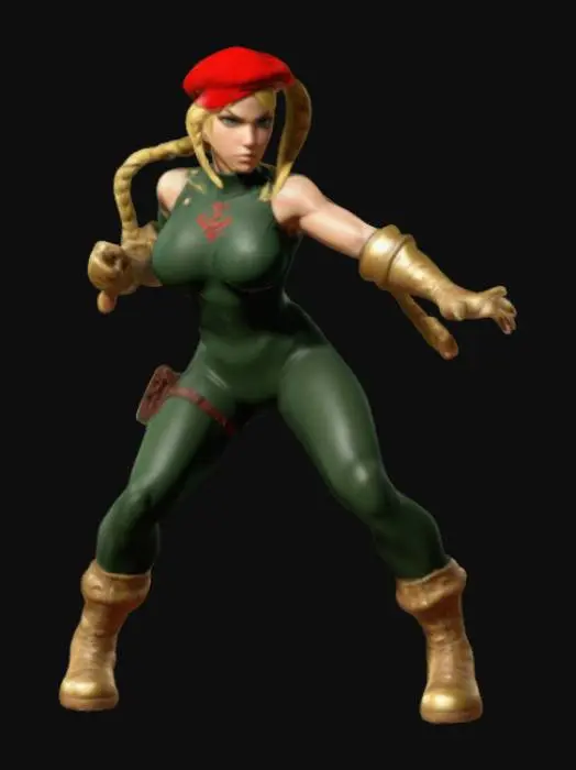 3D model for Fighter in Motion