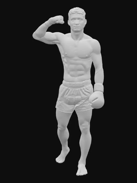 3D model for Thai Fighter