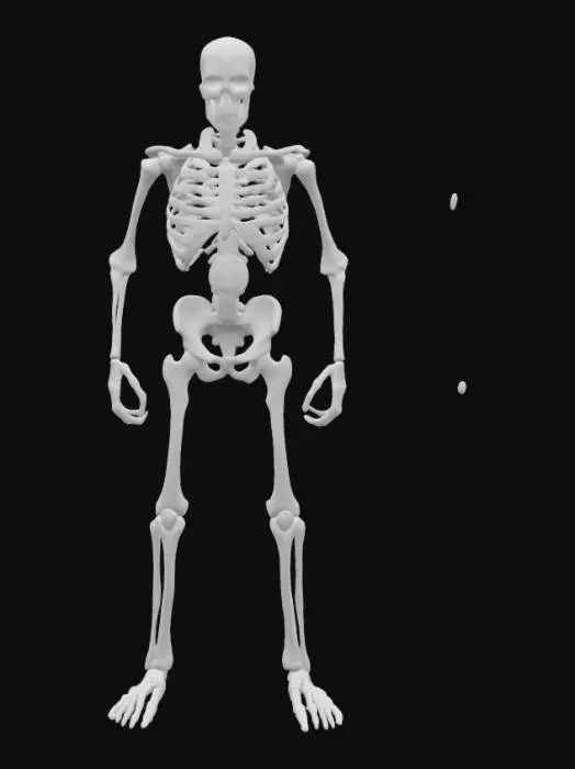 3D model for Skeletal Warrior