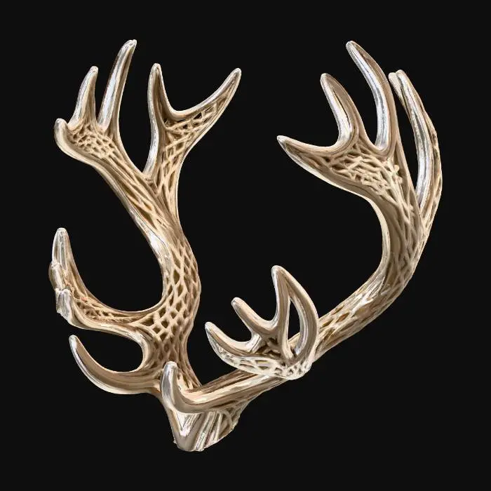 3D model for 参数化风格的驯鹿角