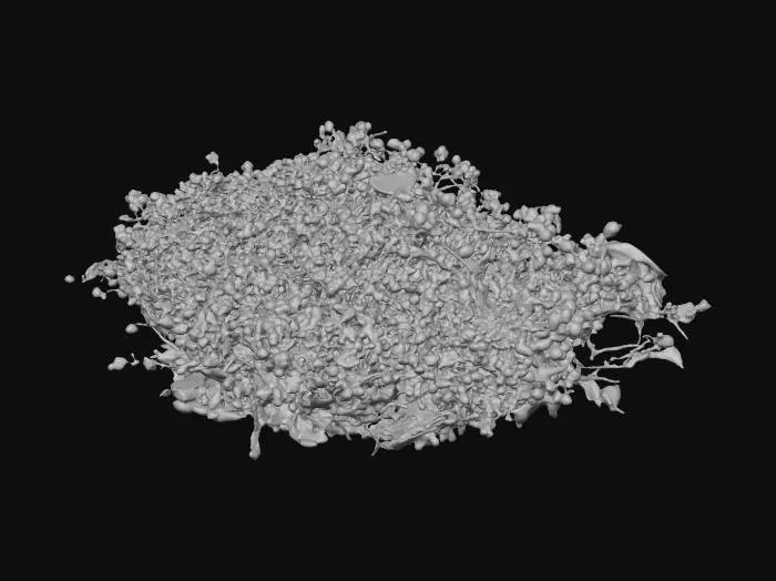 3D model for Snowy White Floral Cascade