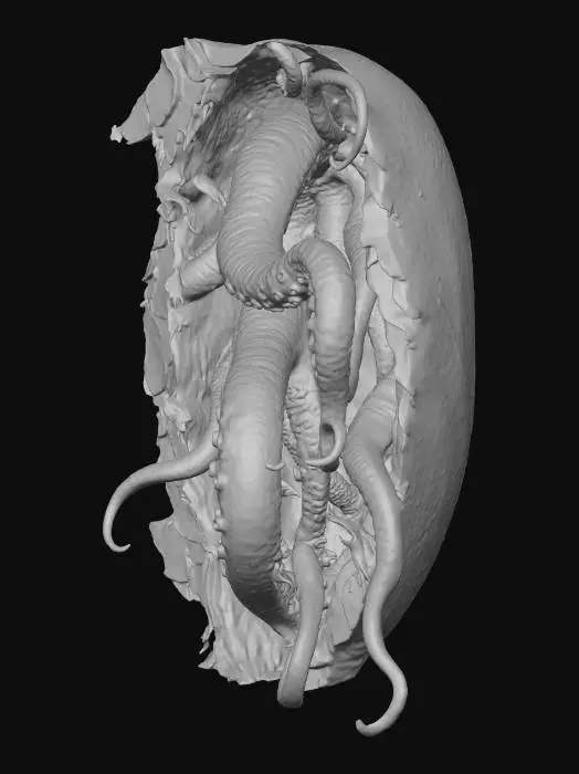 3D model for Unveiling the Abyss