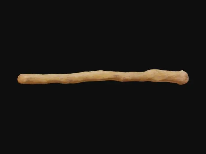 3D model for A natural, handheld wooden stick, roughly 18 inches long, exhibiting a variegated brown hue ranging from warm ochre to dark umber. Its surface is primarily smooth from wear, yet retains subtle, fine longitudinal grain patterns and occasional small, raised knots. Patches of thin, peeling bark reveal a lighter, almost creamy underlying wood. The stick is slightly curved and tapers gently towards one end, feeling solid and earthy to the touch, with minor indentations and discolorations that speak of its natural origin.