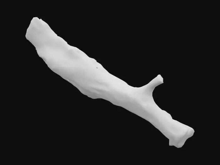 3D model for An aged, hand-sized forest branch, approximately 20 inches long, characterized by a gnarled and irregular shape. Its weathered texture features deep crevices and ridges from decayed bark, revealing a pale, sun-bleached wood beneath. The dominant color palette consists of desaturated greys and muted browns, with streaks of darker, almost black, moisture-stained areas and sporadic patches of faded green lichen. One end shows a clean, angled break, exposing the fibrous internal structure, while the other is naturally smoothed. It feels rough and textured, with distinct contours.