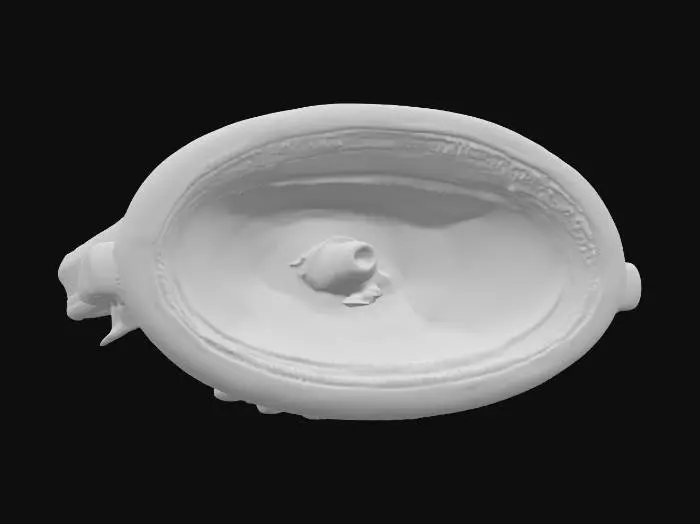 3D model for Car Light Component