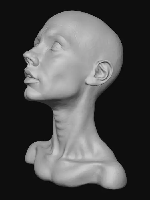 3D model for Serene Reflection