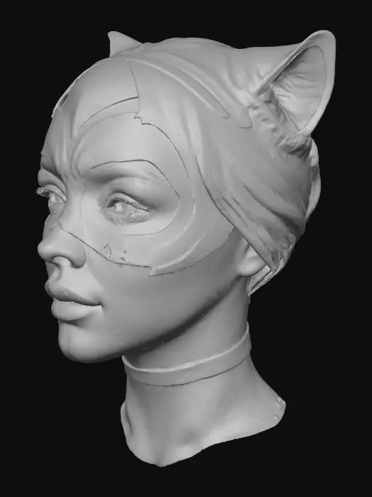 3D model for Catwoman Vision