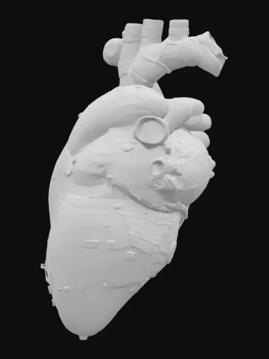 3D model for Cyber-heart