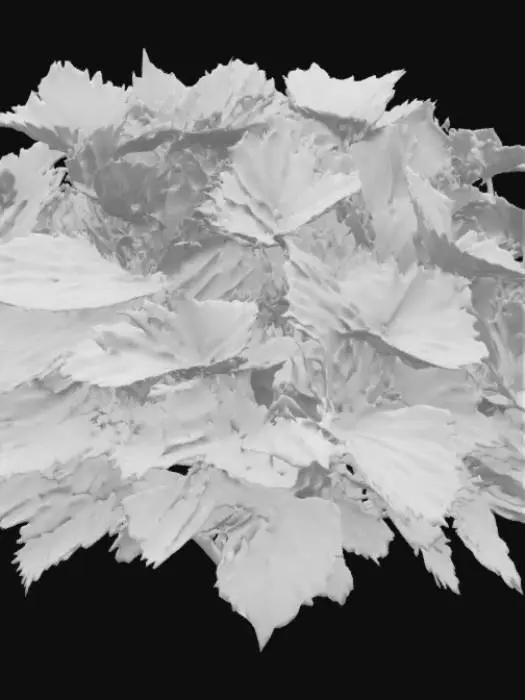 3D model for Perilla frutescens Bush with giant leaves